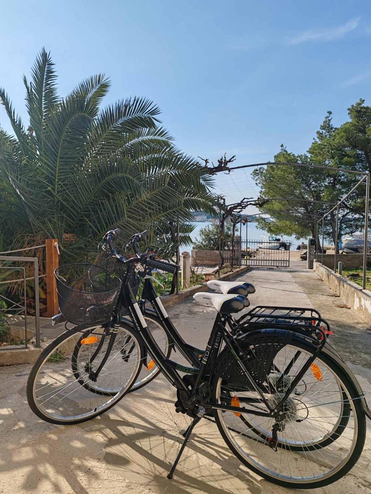 Apartments Alisa Brodarica  Εξωτερικό φωτογραφία