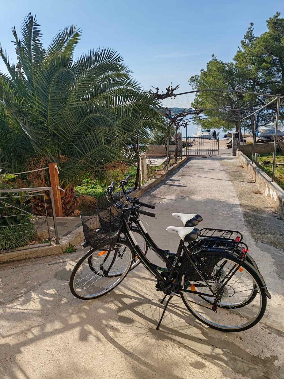 Apartments Alisa Brodarica  Εξωτερικό φωτογραφία